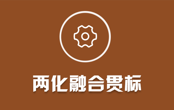 兩化融合/兩化融合貫標(biāo)/貫標(biāo)申報(bào)認(rèn)定評(píng)估咨詢(xún)輔導(dǎo)信息化工業(yè)化資金代理